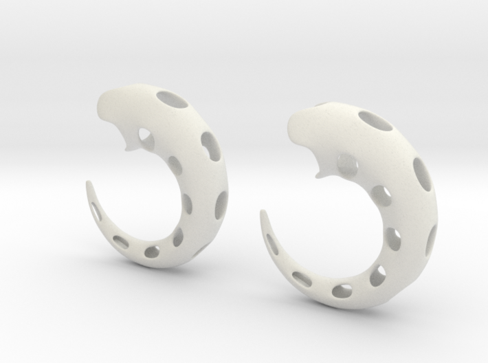 tube earrings01 00g (printing) 3d printed