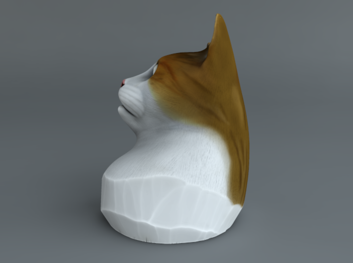 Cat Gasp Painted 3d printed 
