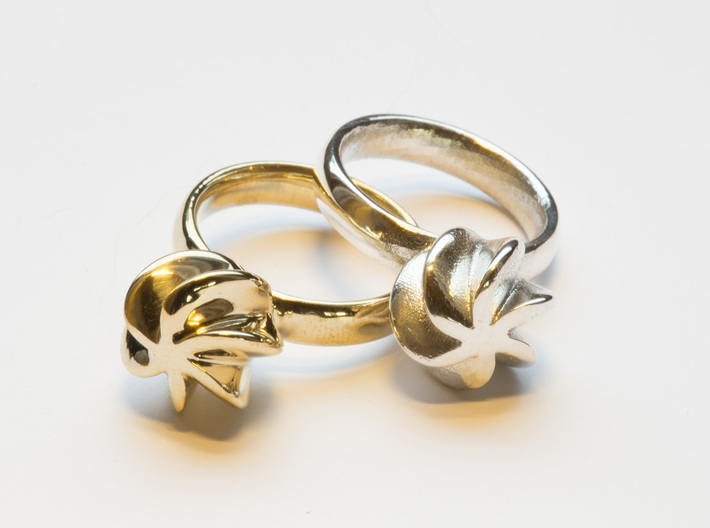 Flora Ring 3d printed The Flora ring in polished brass and polished silver.