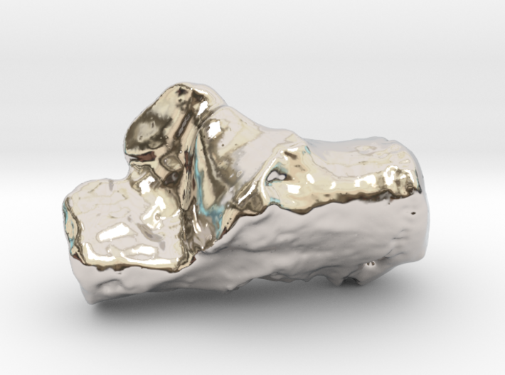 Human left calcaneus 3d printed