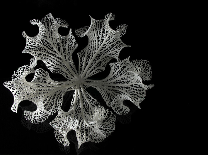 Floraform Sculpture 3d printed