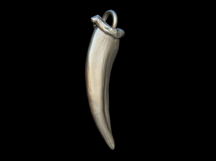 Animal Claw Pendant 3d printed 