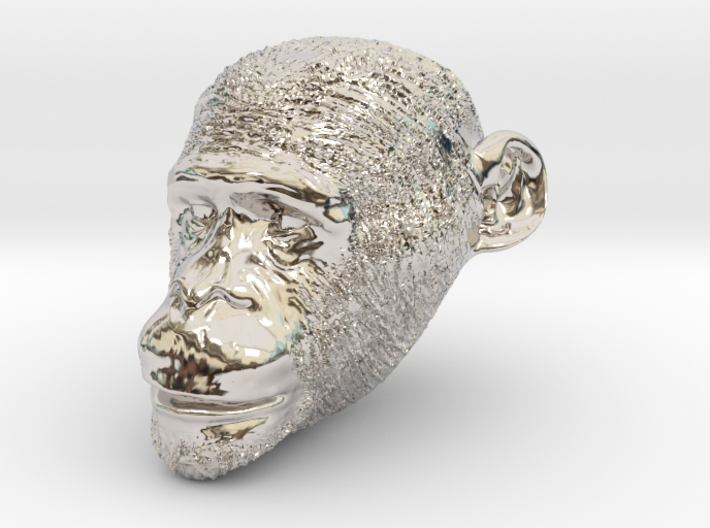 Head Chimp 3d printed