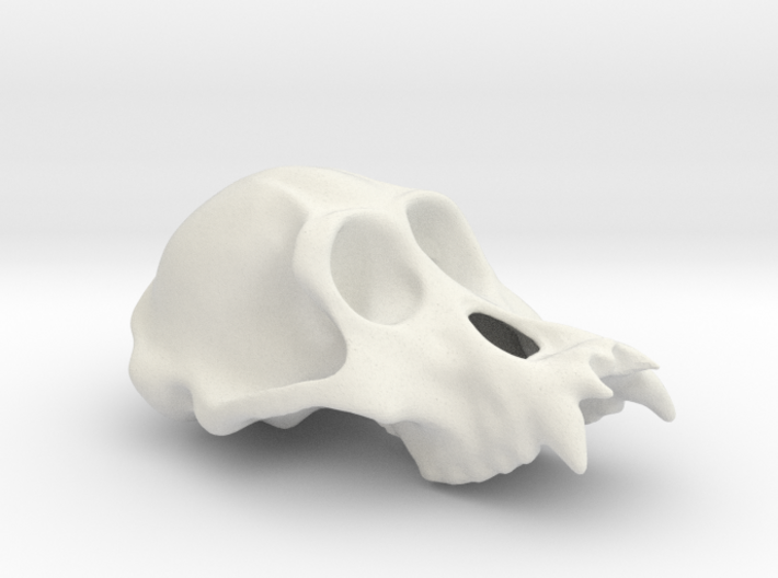 Orangutang ♂ cranium 3d printed