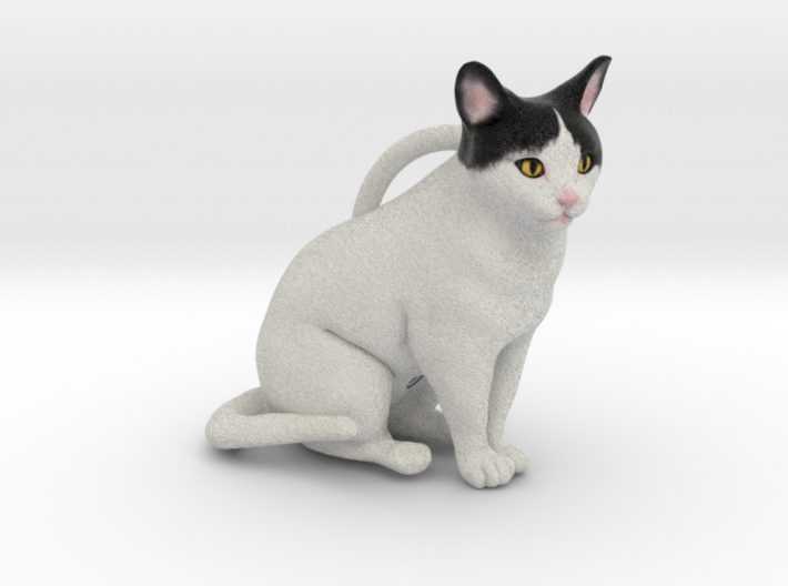 Custom Cat Ornament - Cole 3d printed