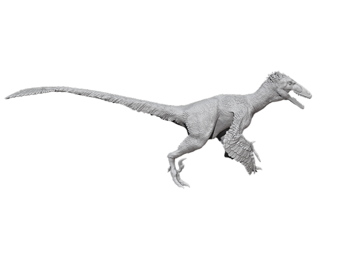 Deinonychus antirrhopus 1:15 scale model 3d printed 