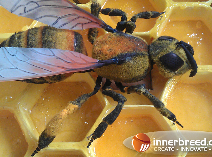 Articulated Honey bee 3d printed Wings come separate 
