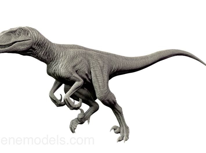 Dinosaur Raptor 25 cm running V2 3d printed 