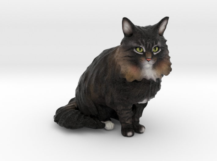 Custom Cat Figurine - Sora 3d printed