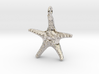 Starfish Pendant 1 - small 3d printed 