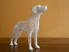 Wireframe dog 3d printed 