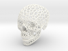 Voronoi Skeletonized Skull 3d printed 