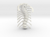 Thoracic Spine - Scoliosis (SKU 006) 3d printed 