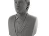 Niall Horan figurine 3d printed Niall Horan Bust