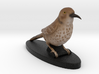 Custom Bird Figurine - Thrasher 3d printed 
