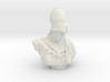 Bust of Athena of Velletri, goddess of technology 3d printed 