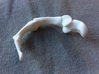 Thumb Bones - Bent - Medium 3d printed 