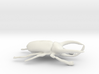 Atlas Beetle figurine/brooch 3d printed 