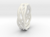 Mobius ring braid  3d printed 