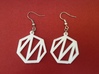 Heptagon Monogram Earrings (customizable) 3d printed This is a real product shot.