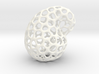 Klein Bottle for Home 3d printed 