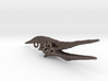 Pteranodon Skull for Steel 3d printed 