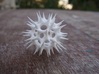 Acrosphaera (Radiolaria) 3d printed 