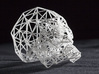 Wireframe Skull 3d printed 