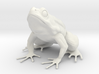 Large Frog Print 3d printed 