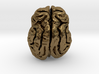 Leopard brain 3d printed 