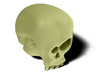 Skull Bob 3d printed Skull Bob