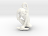 3D-Monkeys 164 3d printed 