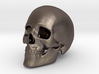 Human Skull 3d printed 