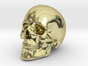 Human Skull 3d printed 