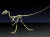 Compsognathus Skeleton (over 2-feet long)  3d printed 
