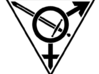 Transgender Warrior Pendant (small) 3d printed 