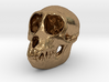 SPIDER MONKEY SKULL - ACTUAL SIZE 3d printed BRASS MONKEY SKULL FOR YOUR BAR