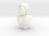 Hillary Clinton  3d printed 