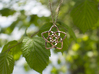 Venus flower small 3d printed Rose Gold Plated
