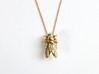 Drosophila Fruit Fly Pendant - Science Jewelry 3d printed Drosophila pendant in polished bronze