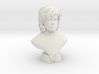 Tyrion Mini Bust 3d printed 
