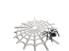 Spider & Web 3d printed 