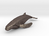 humpback whale middle size (color) 3d printed 