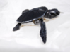 Baby Articulated Sea Turtle 3d printed Shown painted with acrylics