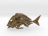 Littlehead Porgy Fish Skeleton Pendant 3d printed 