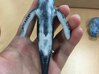 humpback whale middle size (color) 3d printed 