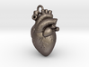 Anatomical human heart 3d printed 