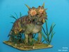 Xenoceratops (Small/Medium/Large size) 3d printed 