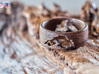 Lake Superior Ring 3d printed Bronze Steel
