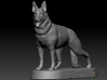 German Shepard (1/24 scale) 3d printed The base is not included